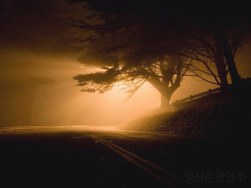 일산운전연수 후기