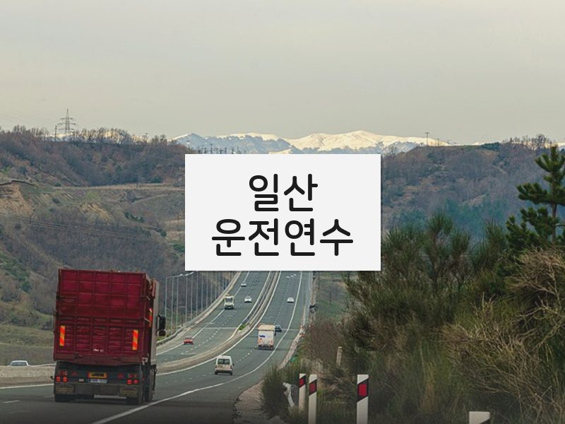 일산운전연수 후기