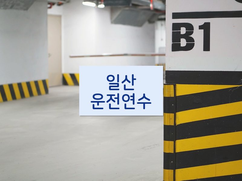 일산운전연수 후기