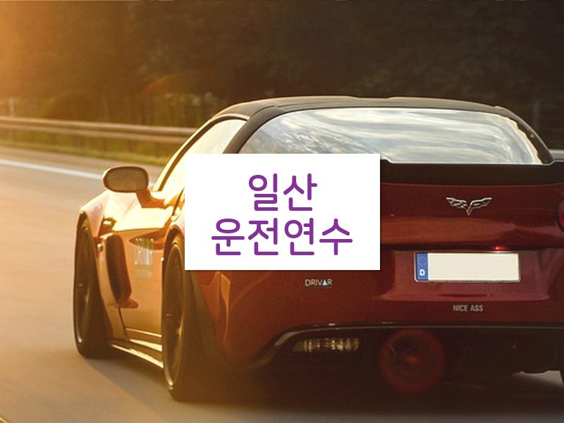 일산운전연수 후기