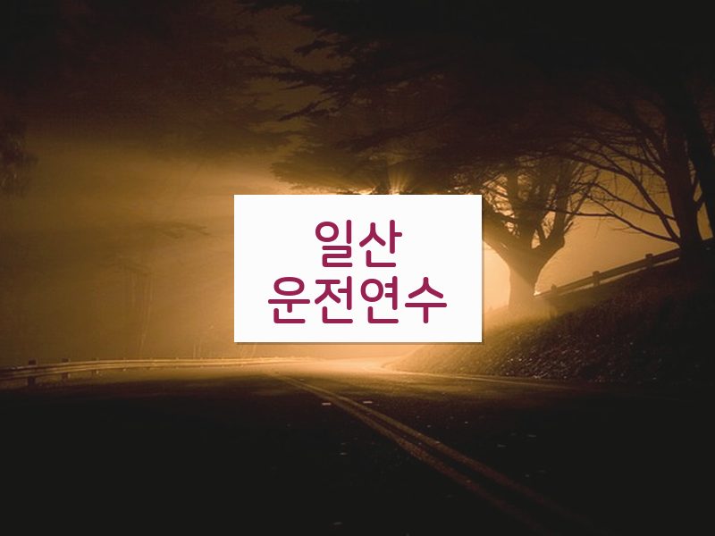 일산운전연수 후기