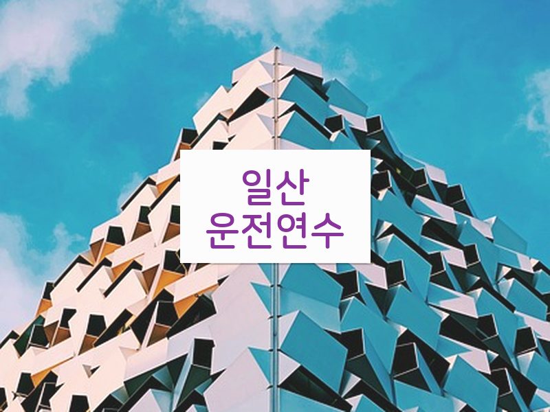 일산운전연수 후기