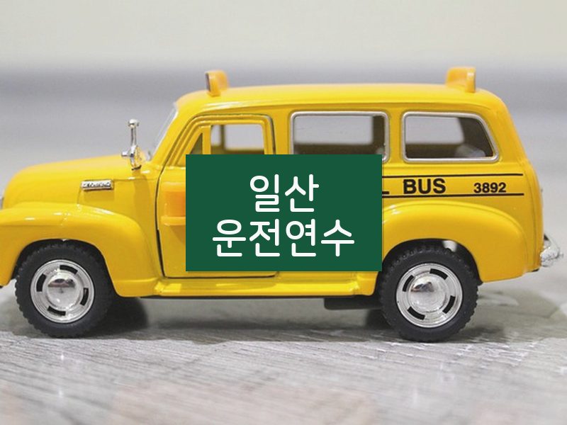 일산운전연수 후기