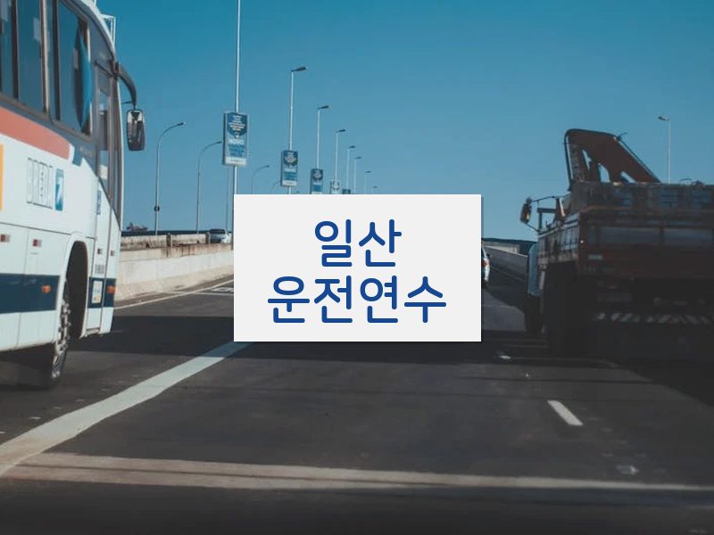 일산운전연수 후기