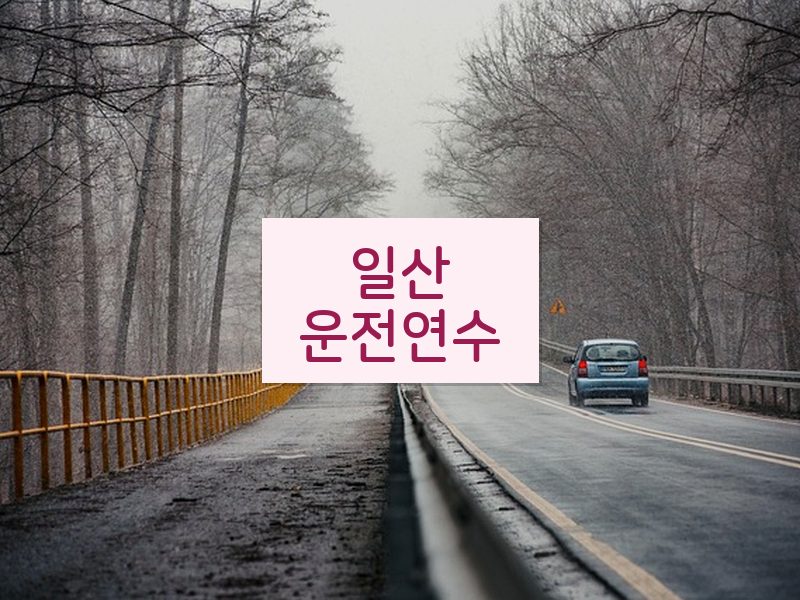 일산운전연수 후기