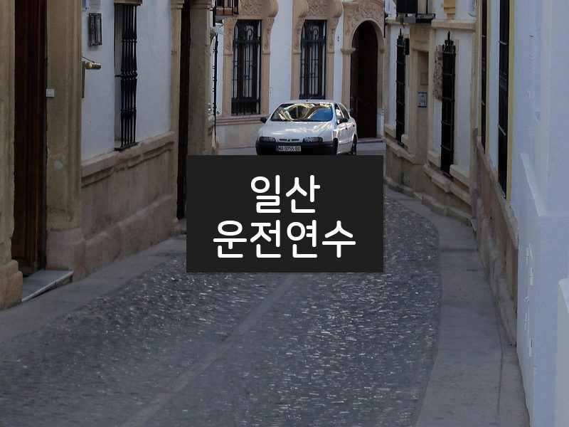 일산운전연수 후기