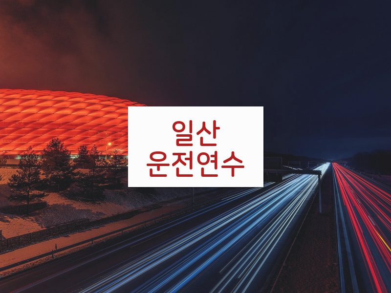 일산운전연수 후기