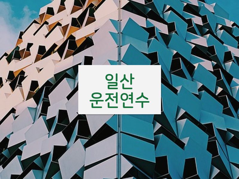 일산운전연수 후기