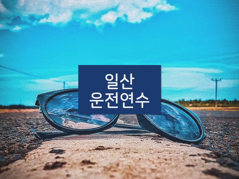 일산운전연수 후기