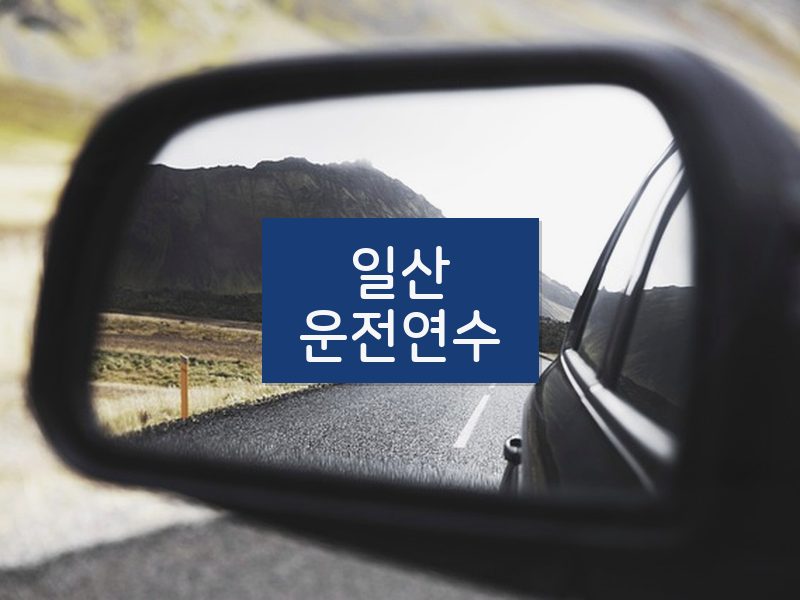 일산운전연수 후기