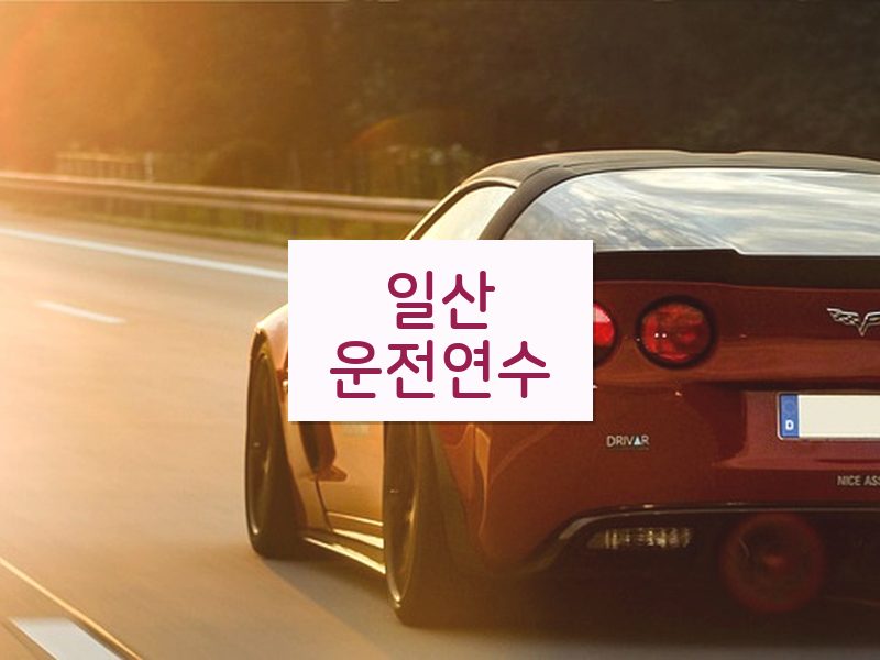 일산운전연수 후기