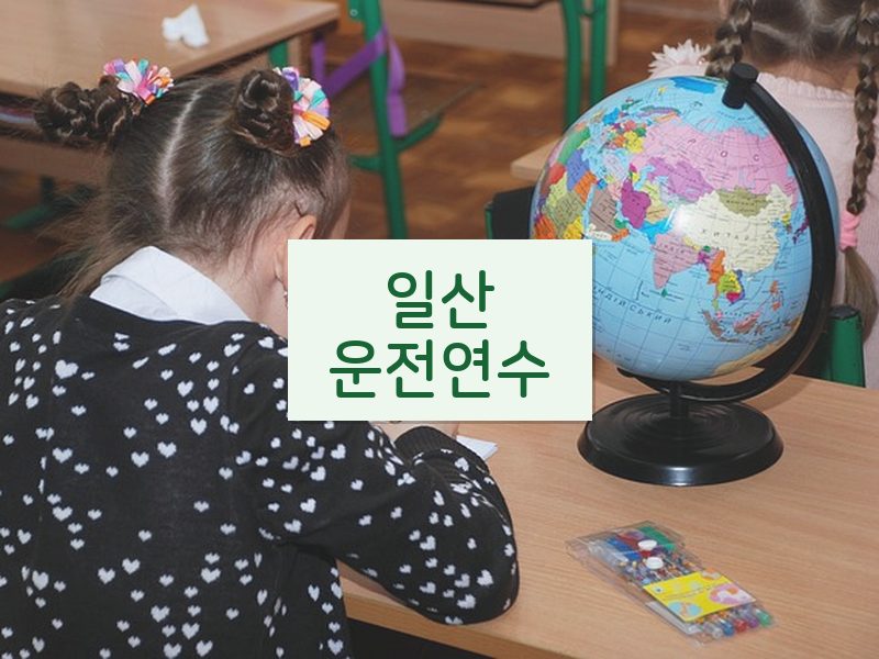 일산운전연수 후기