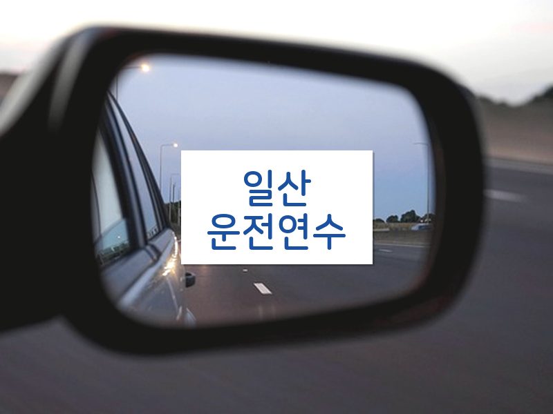 일산운전연수 후기
