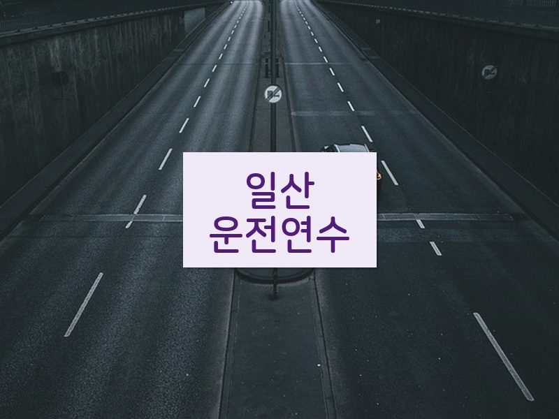 일산운전연수 후기