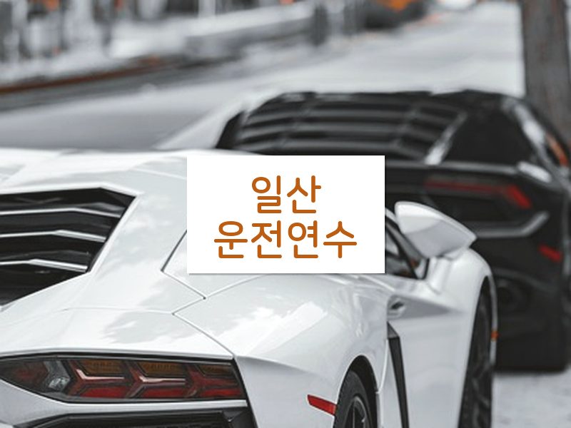 일산운전연수 후기
