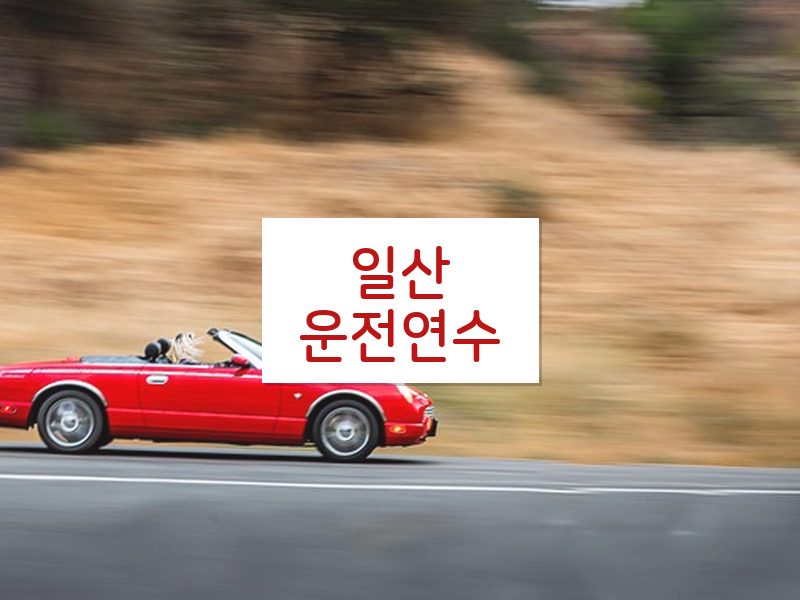 일산운전연수 후기