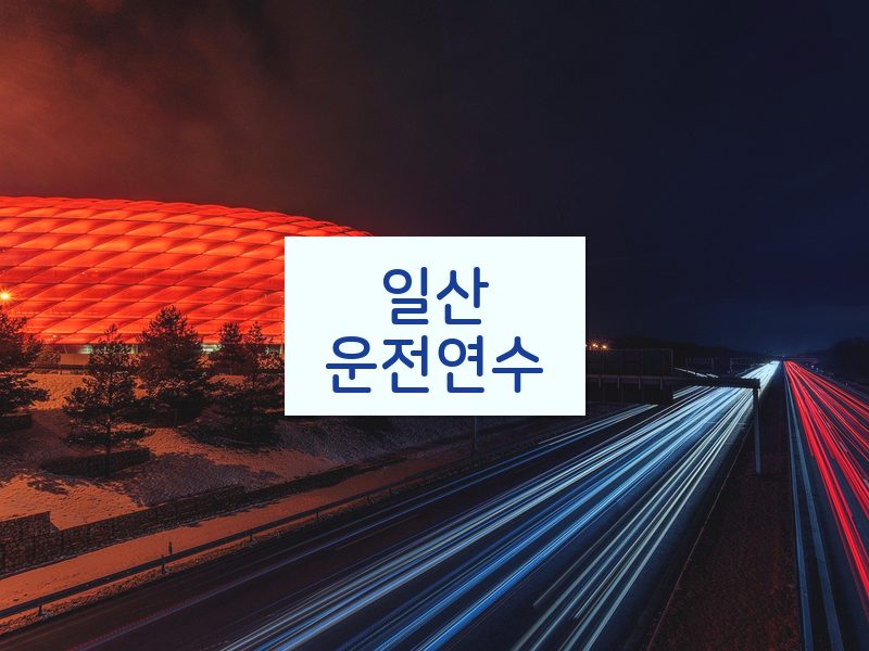 일산운전연수 후기