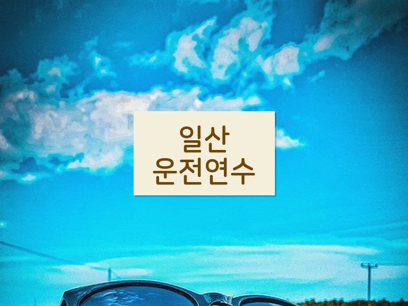 일산운전연수 후기