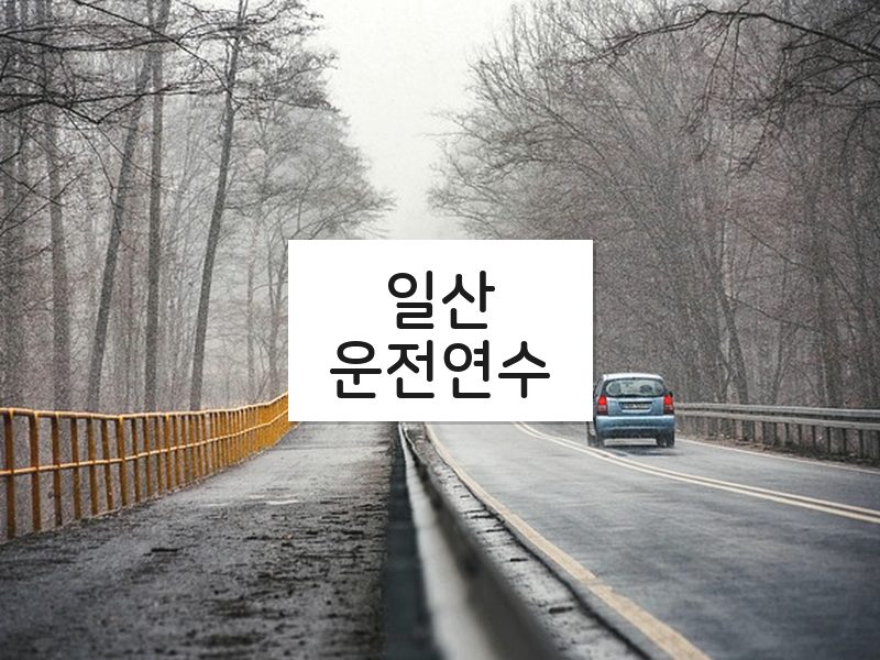 일산운전연수 후기