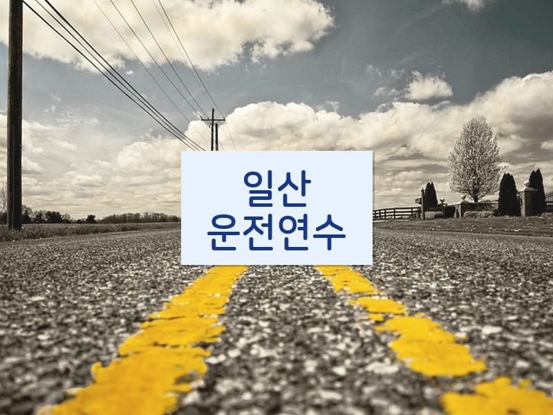 일산운전연수 후기