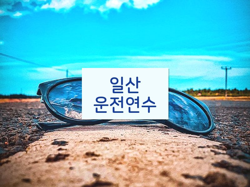 일산운전연수 후기