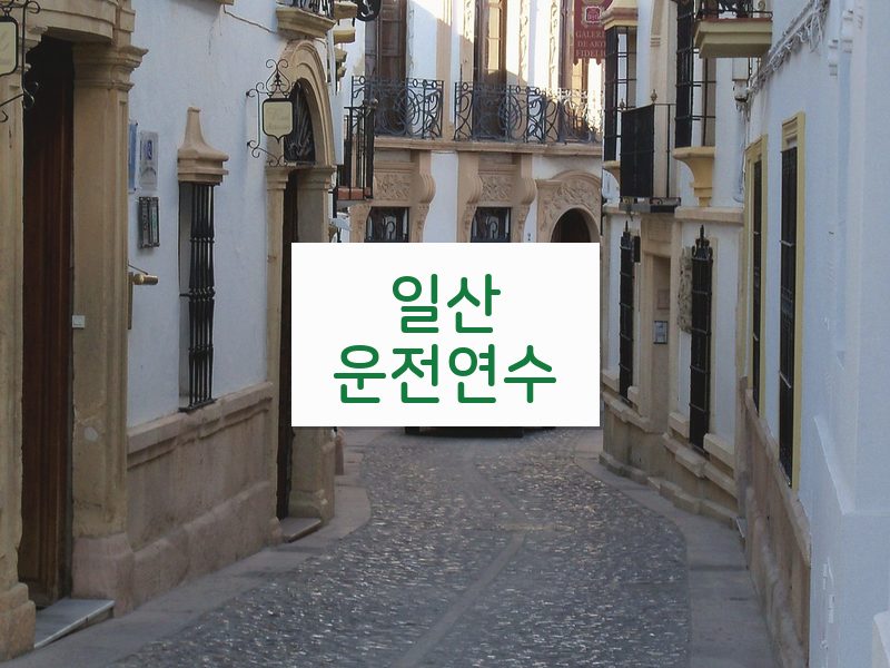 일산운전연수 후기