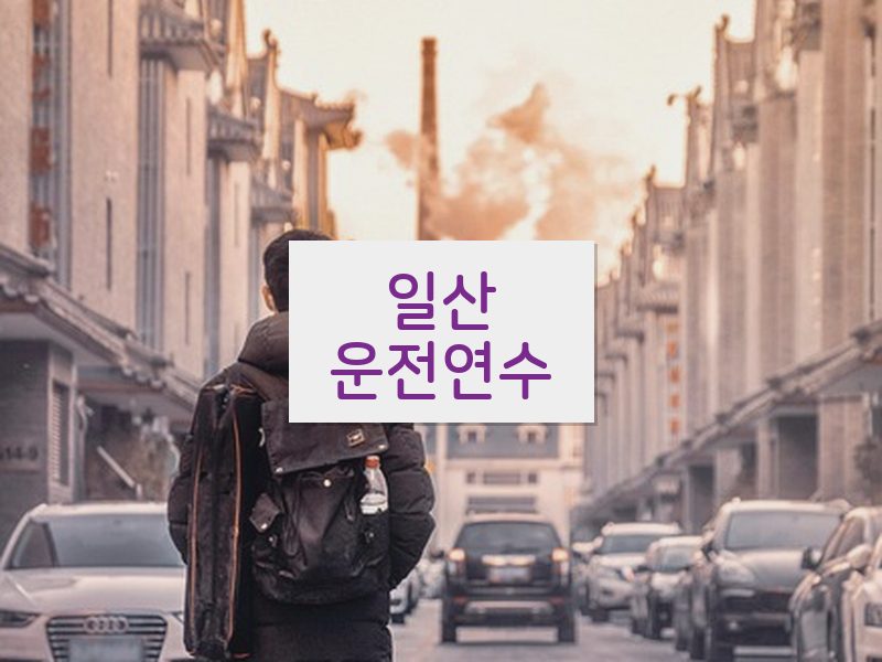 일산운전연수 후기
