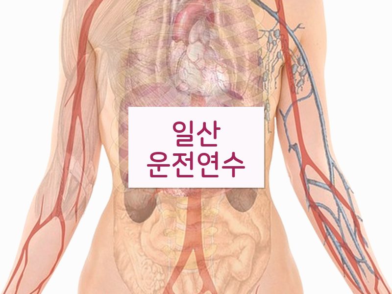 일산운전연수 후기
