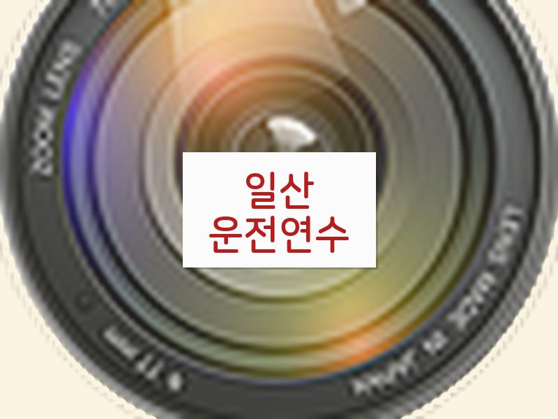 일산운전연수 후기