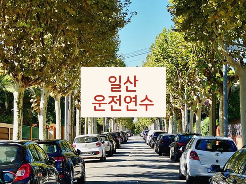 일산운전연수 후기
