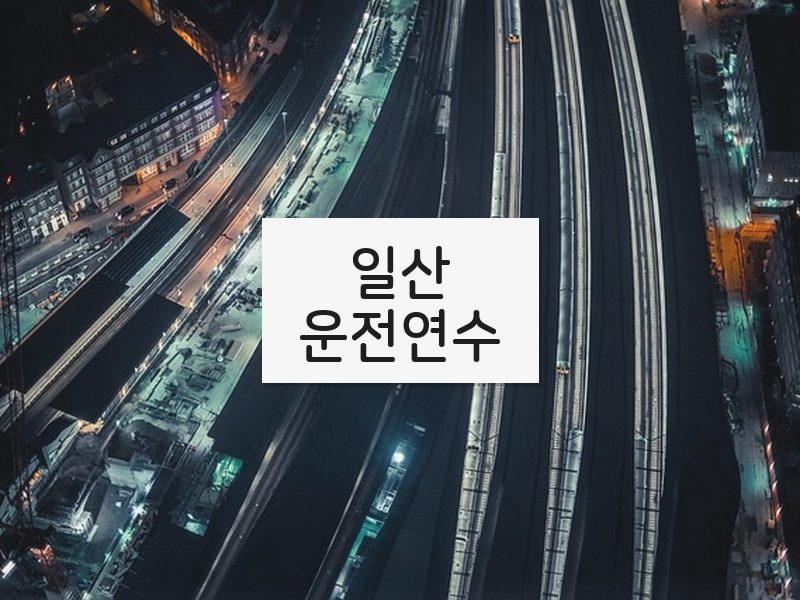 일산운전연수 후기