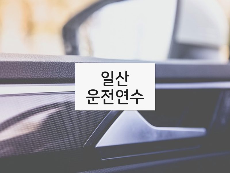 일산운전연수 후기