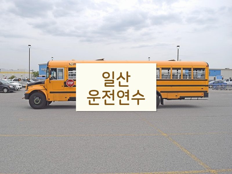 일산운전연수 후기