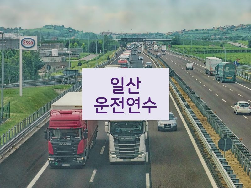 일산운전연수 후기
