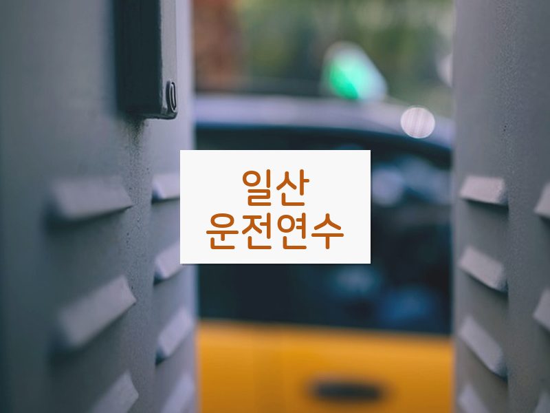 일산운전연수 후기