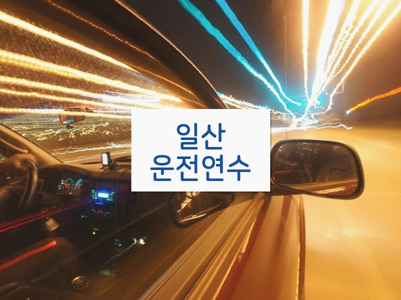 일산운전연수 후기