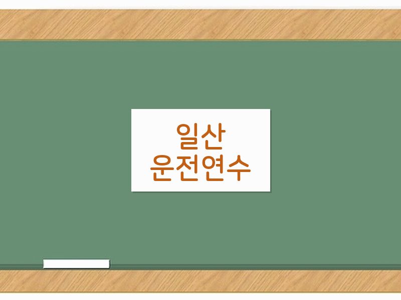 일산운전연수 후기