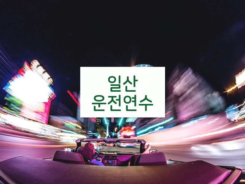 일산운전연수 후기
