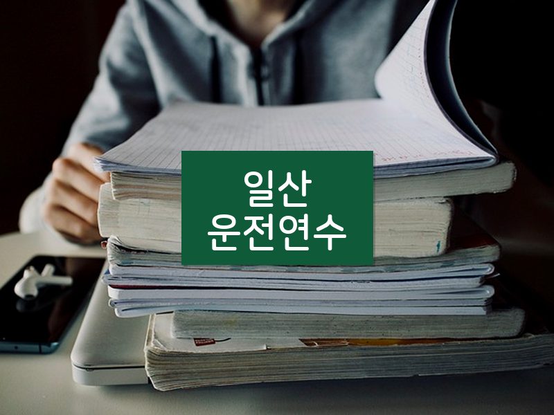 일산운전연수 후기