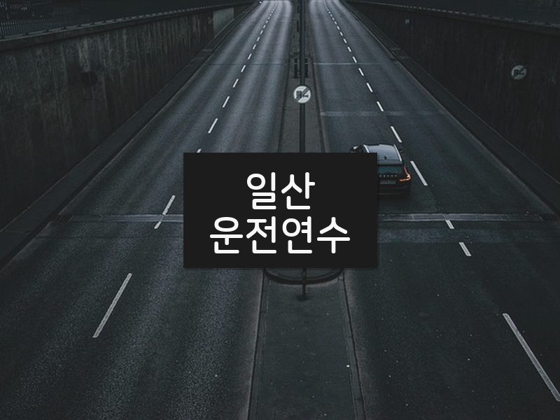 일산운전연수 후기