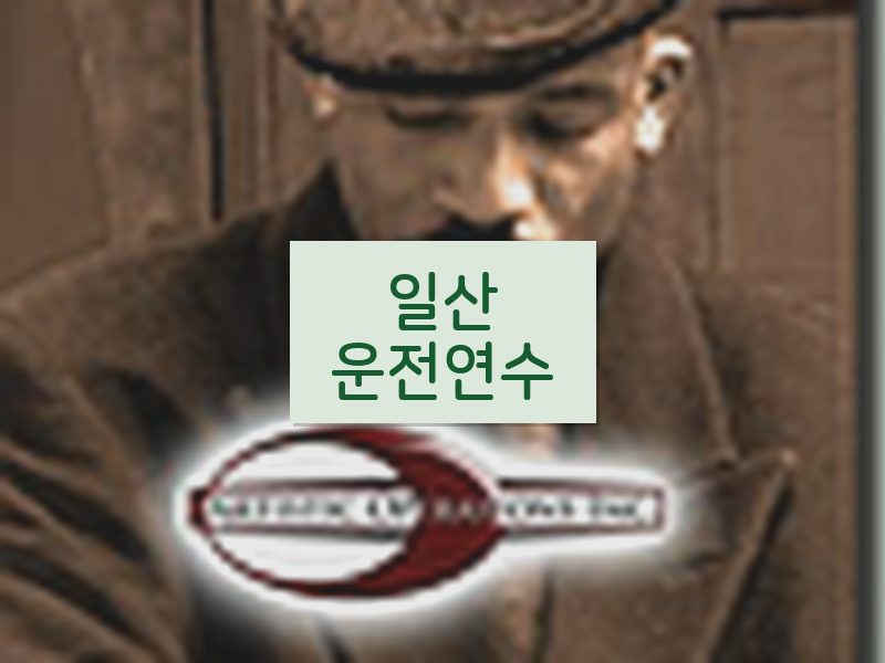 일산운전연수 후기