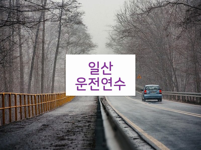 일산운전연수 후기