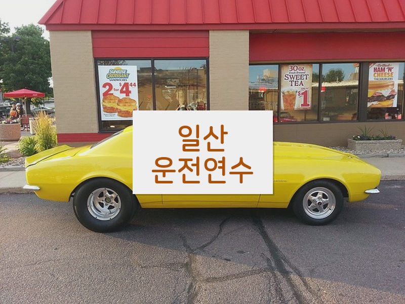 일산운전연수 후기