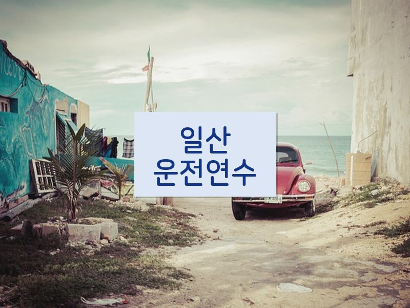 일산운전연수 후기