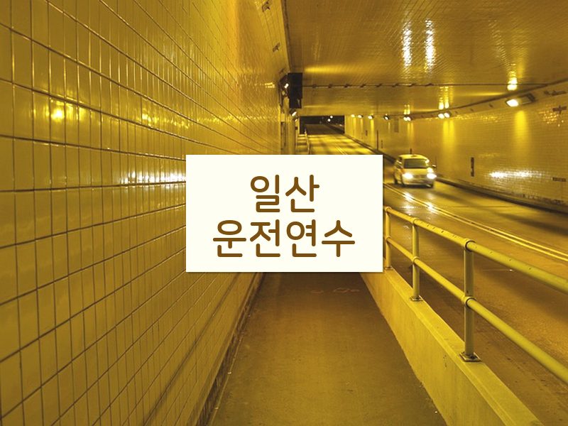 일산운전연수 후기