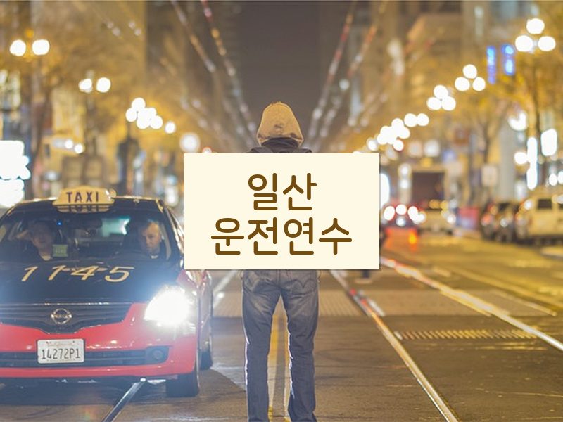일산운전연수 후기