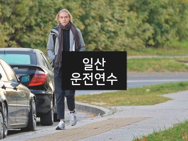 일산운전연수 후기