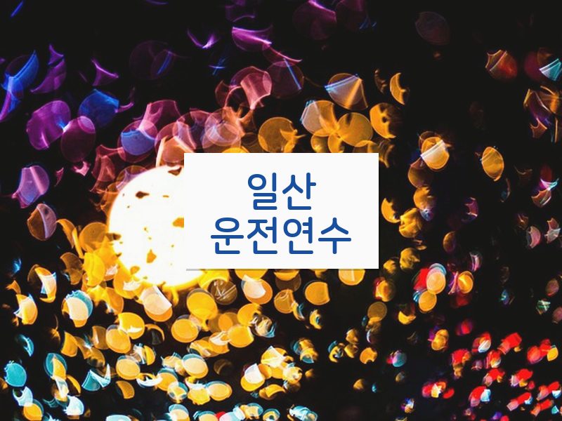 일산운전연수 후기