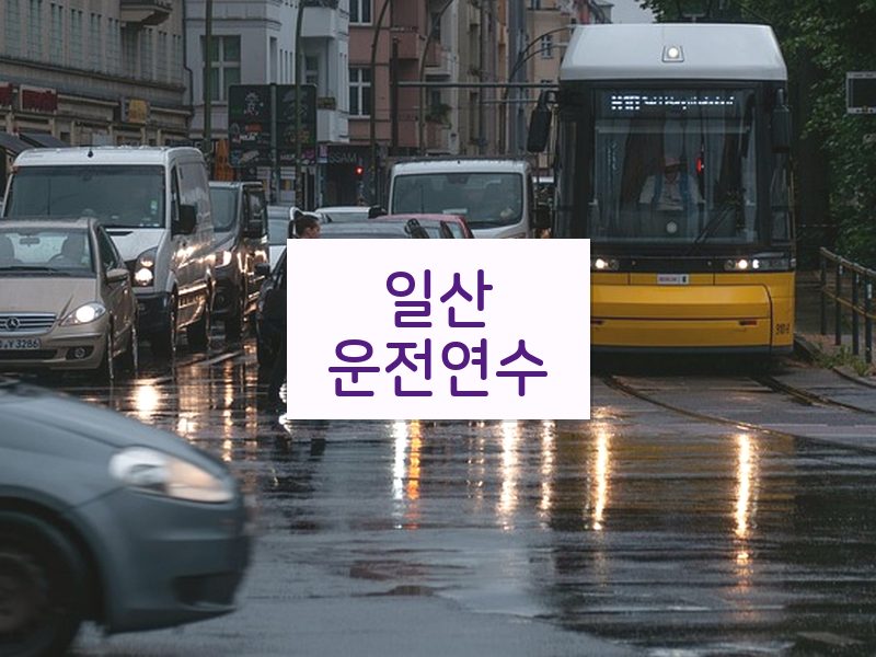 일산운전연수 후기
