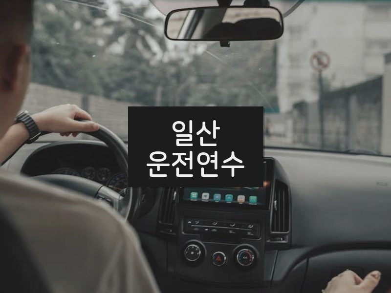 일산운전연수 후기